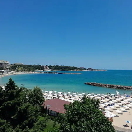 аурелия бей