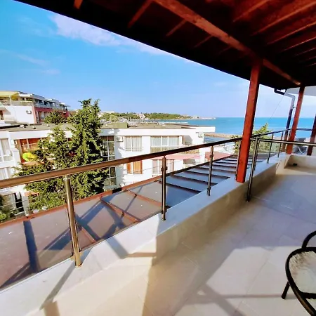 аурелия бей * Rawda