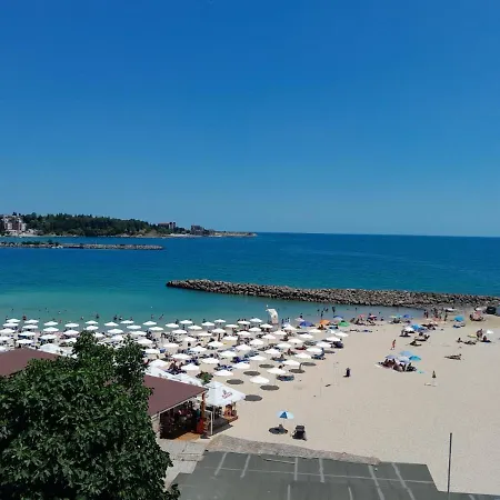 аурелия бей * Rawda