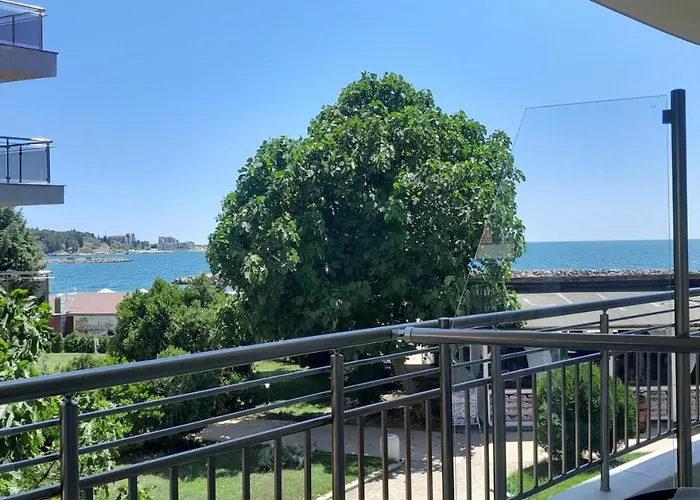 аурелия бей Ravda